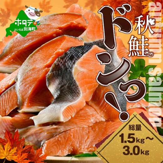 【ふるさと納税】秋鮭ドンっ!(無塩)